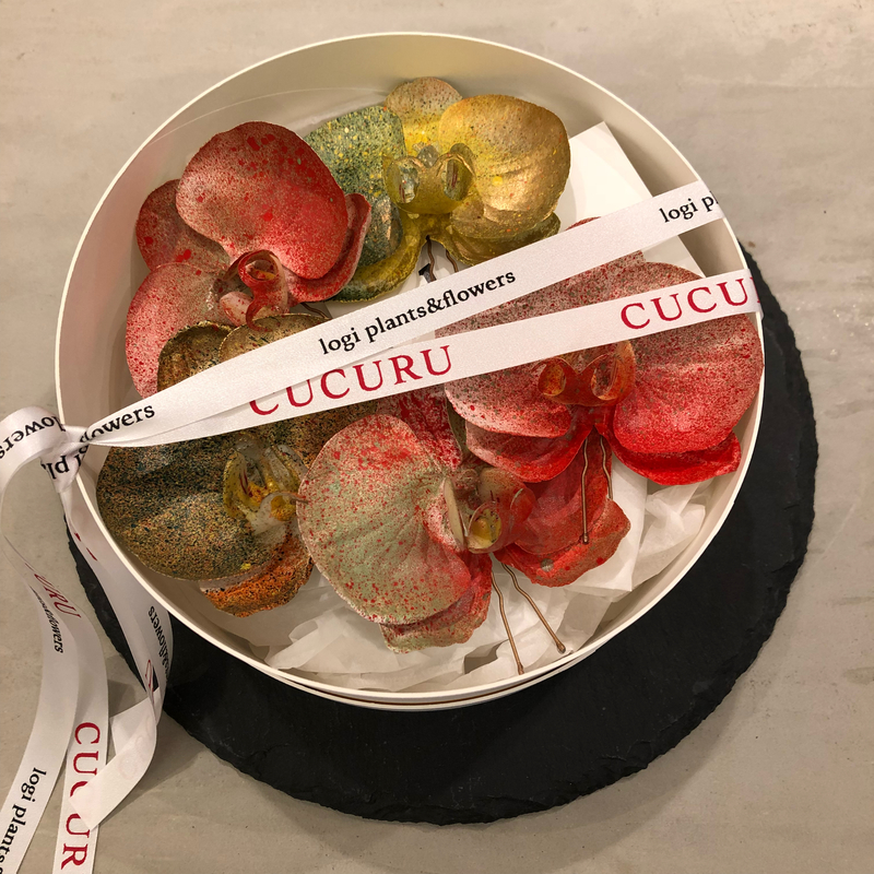 CUCURU × logi PLANTS&FLOWERS『染めの花』