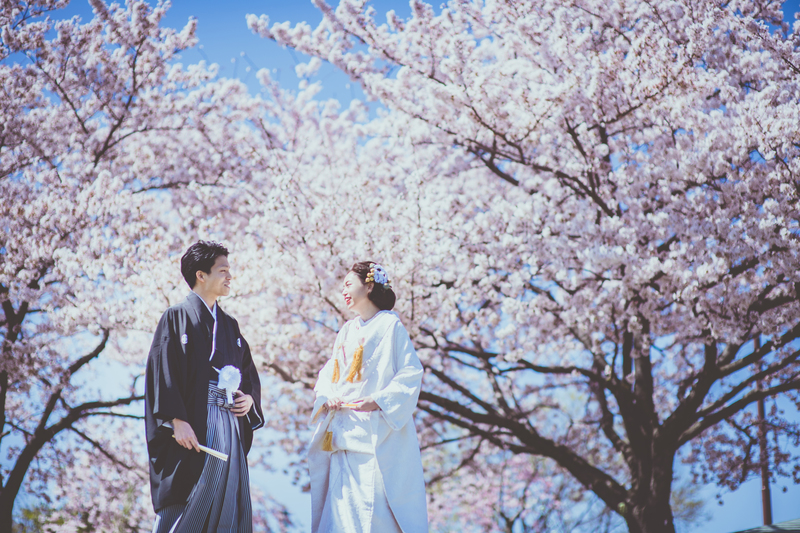 満開の桜の中、白無垢で和装前撮りをされた先輩花嫁さまのご紹介