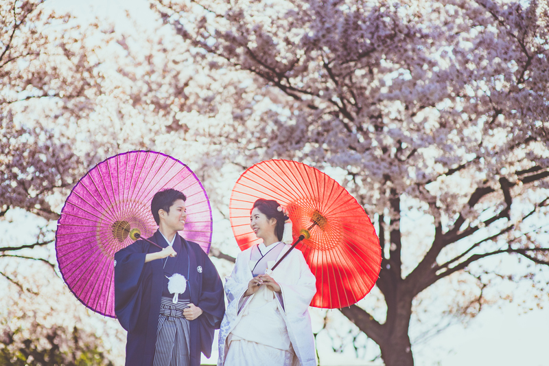 桜吹雪の中、白無垢で前撮りロケーション撮影された和装花嫁さまをご紹介いたします。