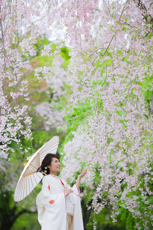春の京都で、白無垢での前撮りをされた先輩花嫁さまをご紹介いたします。