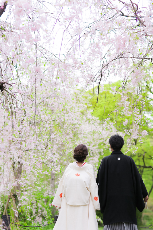 春の京都で、白無垢での前撮りをされた先輩花嫁さまをご紹介いたします。